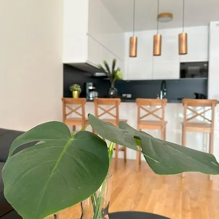 Viktoria N7 With Garage & Terrace Apartamento